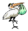 storch